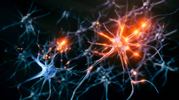 AI-Architects